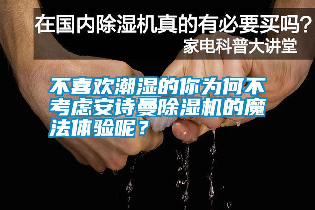 不喜歡潮濕的你為何不考慮安詩曼除濕機的魔法體驗呢？
