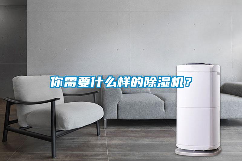 你需要什么樣的除濕機？