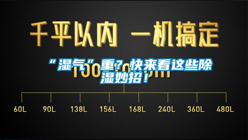 “濕氣”重？快來看這些除濕妙招！