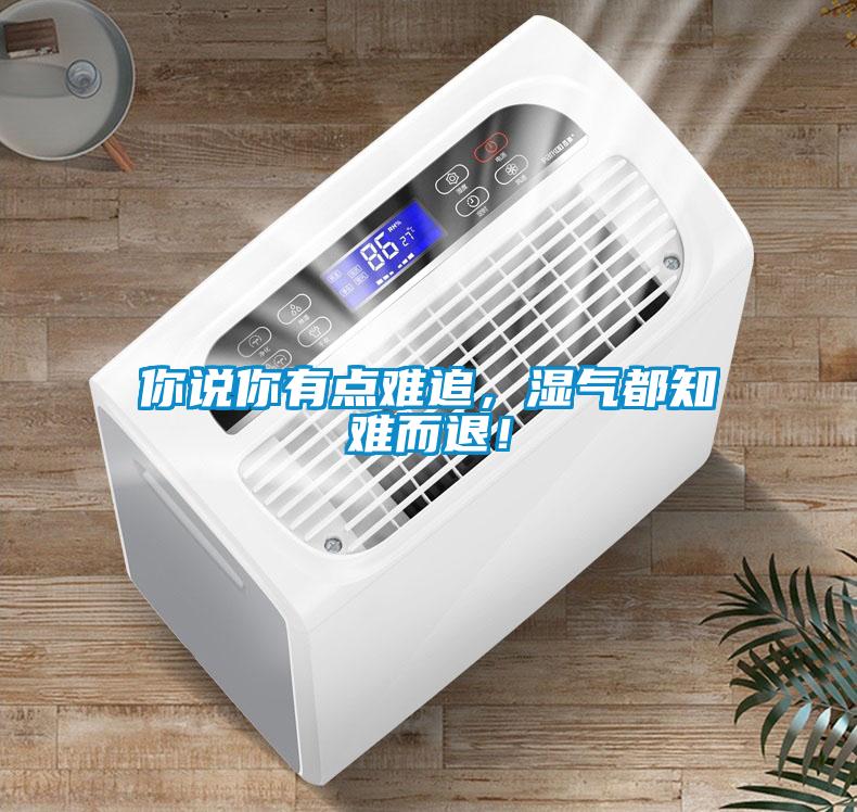 你說你有點難追，濕氣都知難而退！