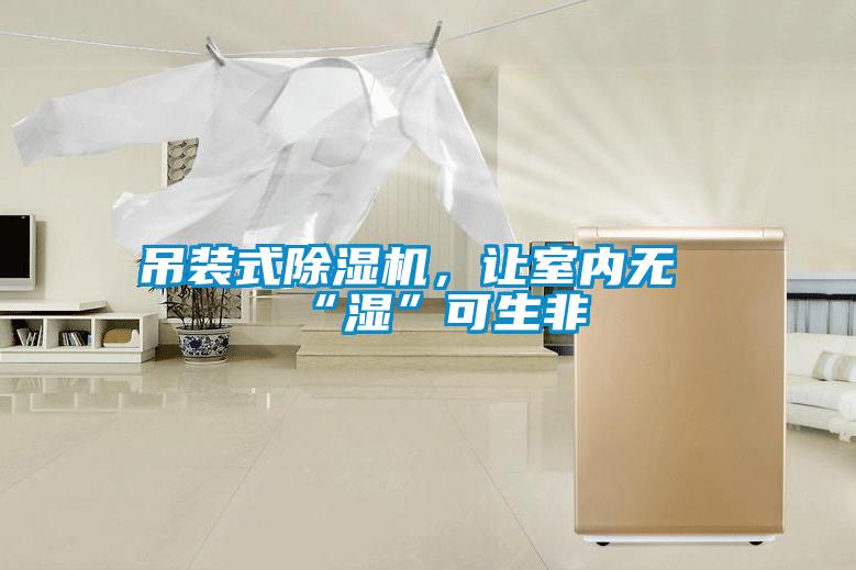 吊裝式除濕機(jī)，讓室內(nèi)無“濕”可生非