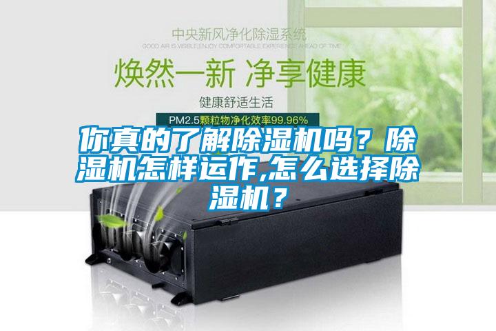 你真的了解除濕機(jī)嗎？除濕機(jī)怎樣運(yùn)作,怎么選擇除濕機(jī)？