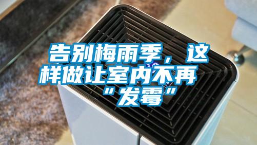 告別梅雨季，這樣做讓室內不再“發霉”