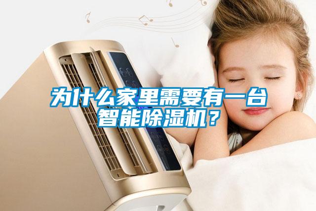 為什么家里需要有一臺智能除濕機？