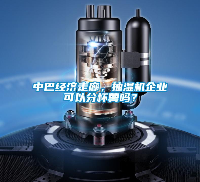 中巴經(jīng)濟(jì)走廊，抽濕機(jī)企業(yè)可以分杯羹嗎？