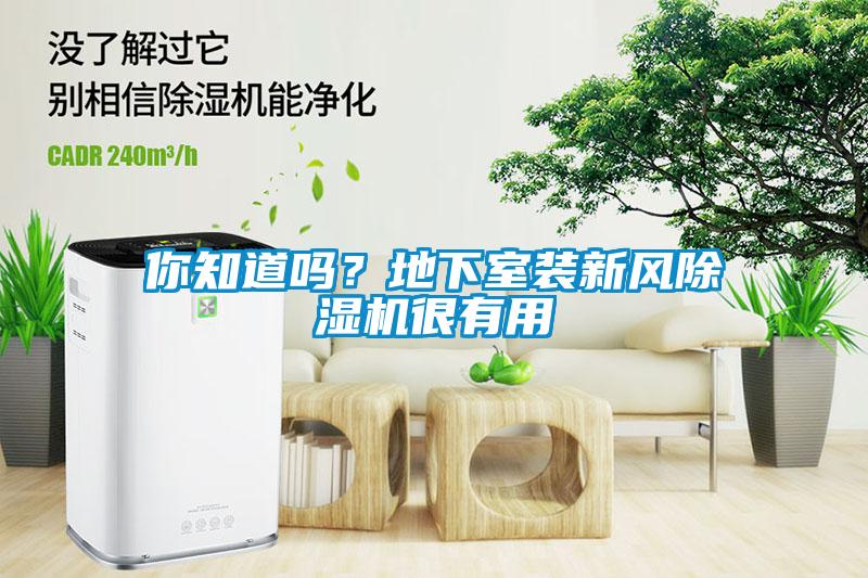 你知道嗎？地下室裝新風除濕機很有用