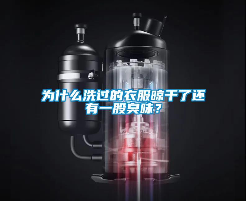 為什么洗過的衣服晾干了還有一股臭味？