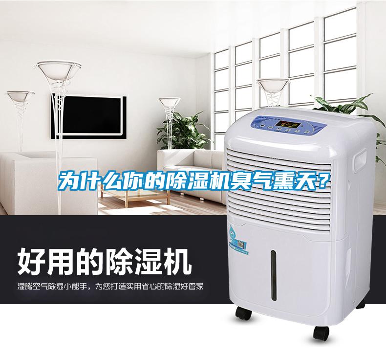 為什么你的除濕機(jī)臭氣熏天？