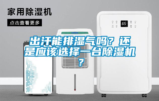 出汗能排濕氣嗎？還是應(yīng)該選擇一臺除濕機？