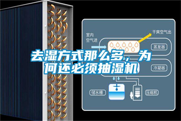 去濕方式那么多，為何還必須抽濕機