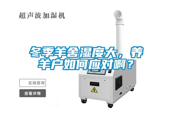 冬季羊舍濕度大，養(yǎng)羊戶如何應(yīng)對(duì)啊？