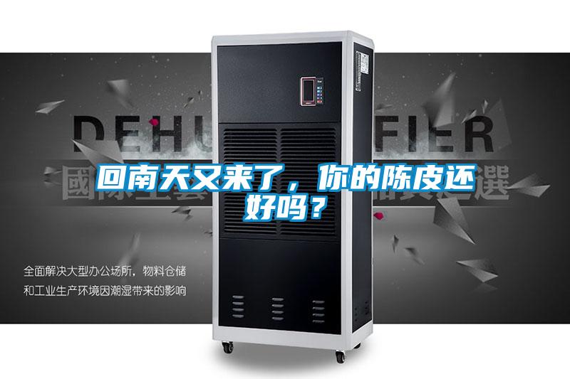 回南天又來了，你的陳皮還好嗎？