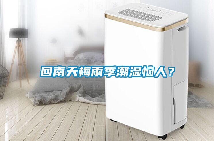 回南天梅雨季潮濕惱人？