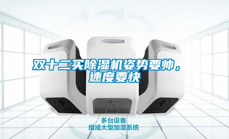 雙十二買除濕機(jī)姿勢(shì)要帥， 速度要快