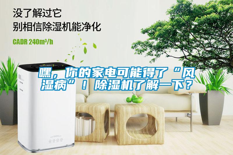 嘿，你的家電可能得了“風濕病”！除濕機了解一下？