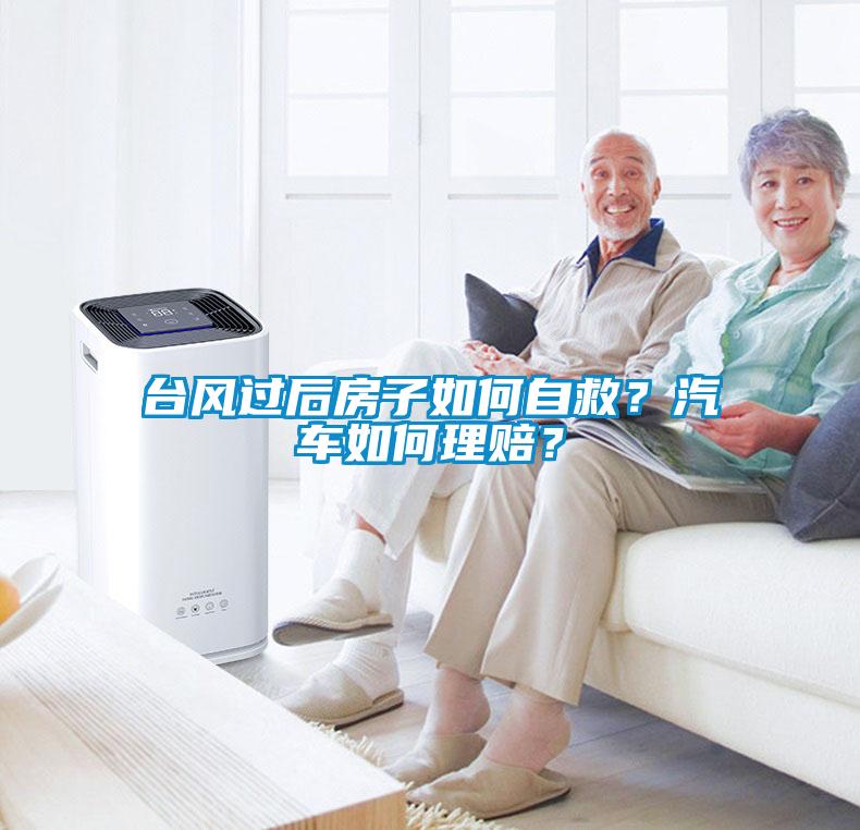 臺風過后房子如何自救？汽車如何理賠？