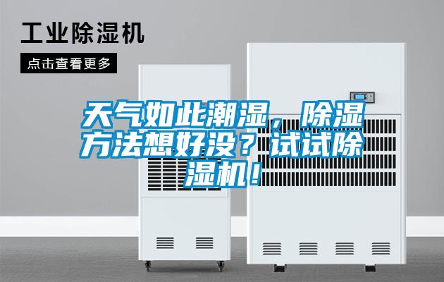 天氣如此潮濕，除濕方法想好沒？試試除濕機(jī)！