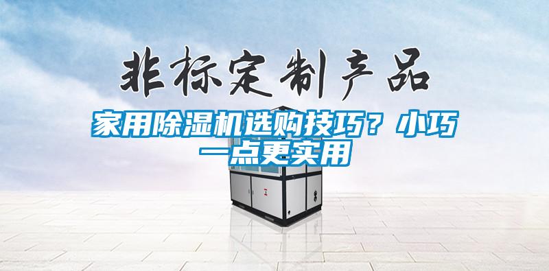 家用除濕機(jī)選購技巧？小巧一點(diǎn)更實(shí)用