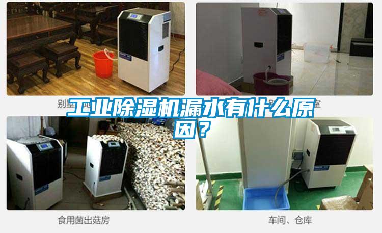 工業除濕機漏水有什么原因？