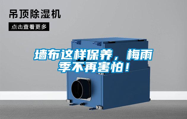 墻布這樣保養(yǎng)，梅雨季不再害怕！