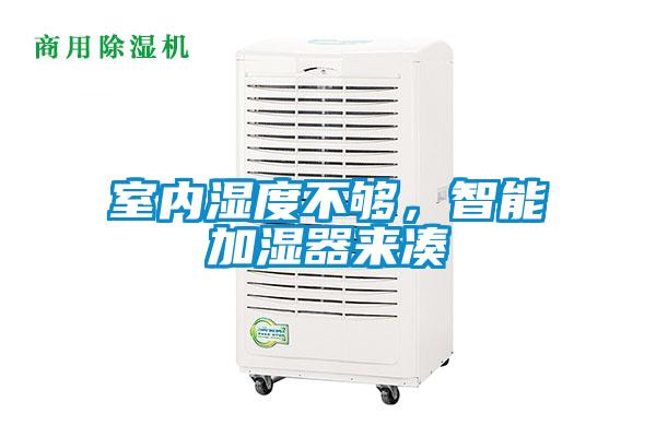 室內濕度不夠，智能加濕器來湊