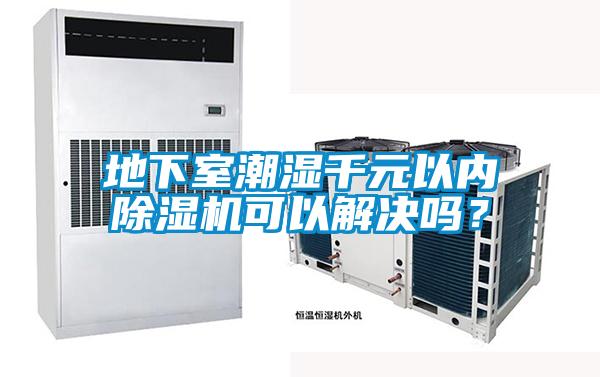地下室潮濕千元以內除濕機可以解決嗎？