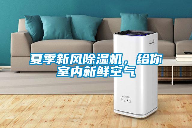 夏季新風(fēng)除濕機(jī)，給你室內(nèi)新鮮空氣