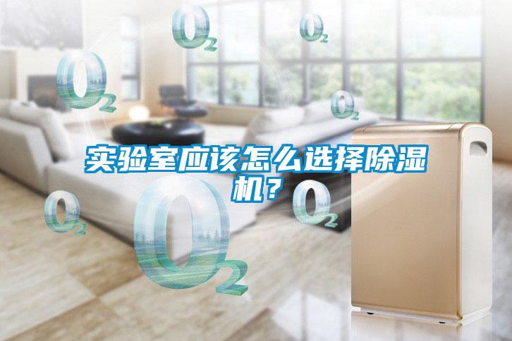 實驗室應(yīng)該怎么選擇除濕機(jī)？