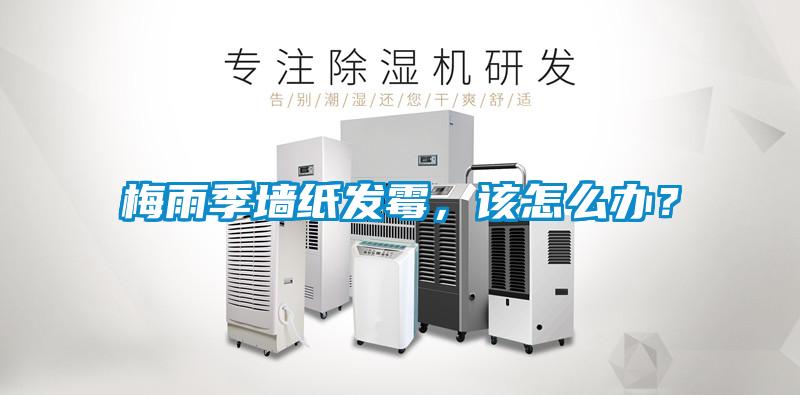 梅雨季墻紙發(fā)霉，該怎么辦？