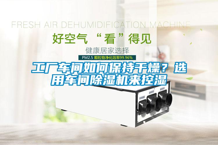 工廠車間如何保持干燥？選用車間除濕機來控濕