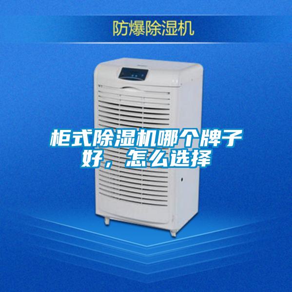 柜式除濕機(jī)哪個(gè)牌子好，怎么選擇