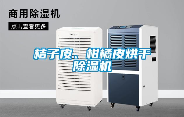 桔子皮、柑橘皮烘干除濕機