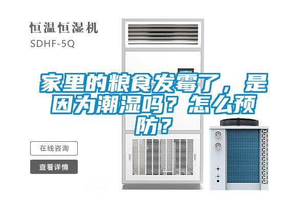 家里的糧食發霉了，是因為潮濕嗎？怎么預防？