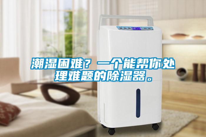潮濕困難？一個(gè)能幫你處理難題的除濕器。
