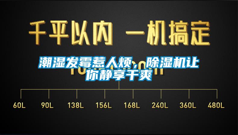 潮濕發霉惹人煩，除濕機讓你靜享干爽