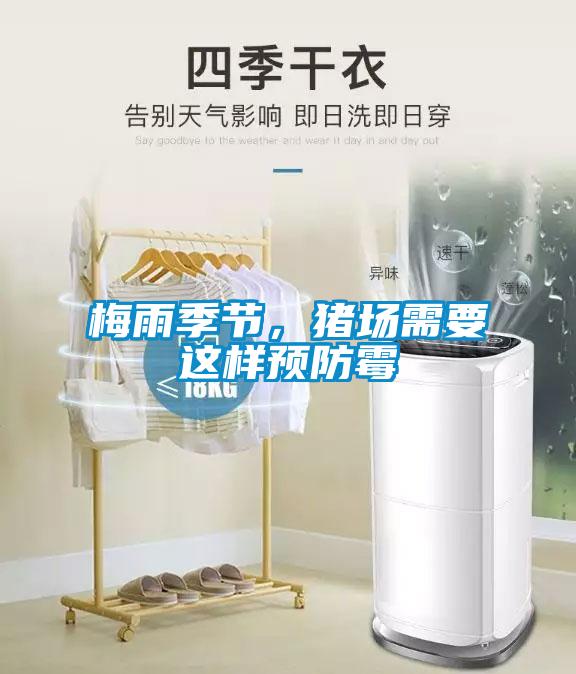 梅雨季節(jié)，豬場需要這樣預防霉