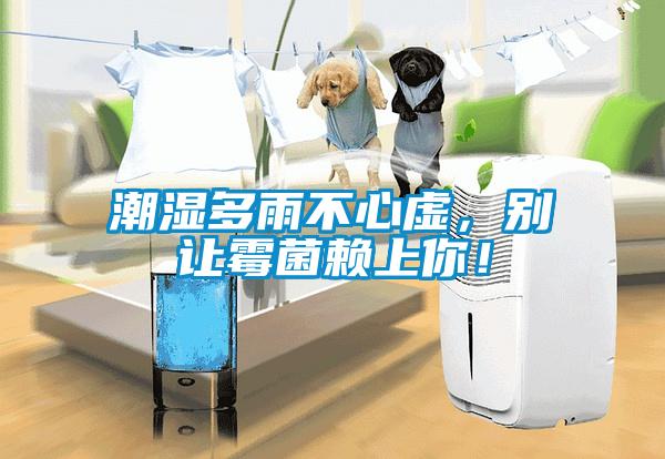 潮濕多雨不心虛，別讓霉菌賴上你！
