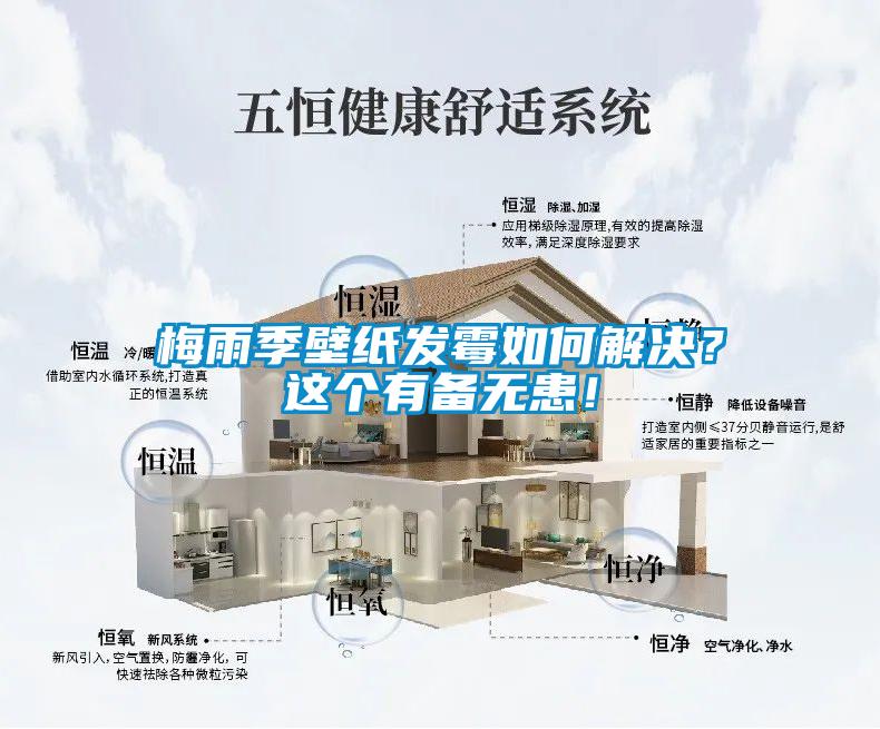 梅雨季壁紙發(fā)霉如何解決？這個(gè)有備無(wú)患！