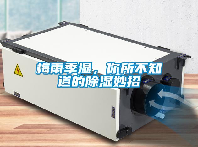 梅雨季濕，你所不知道的除濕妙招