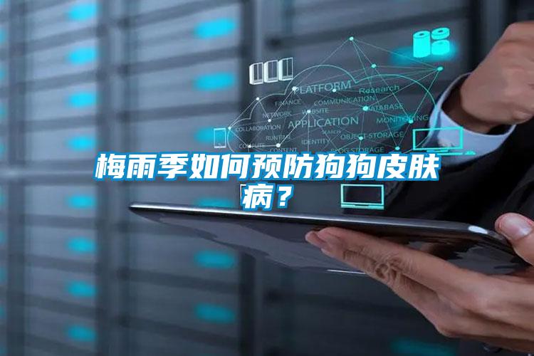 梅雨季如何預防狗狗皮膚病？