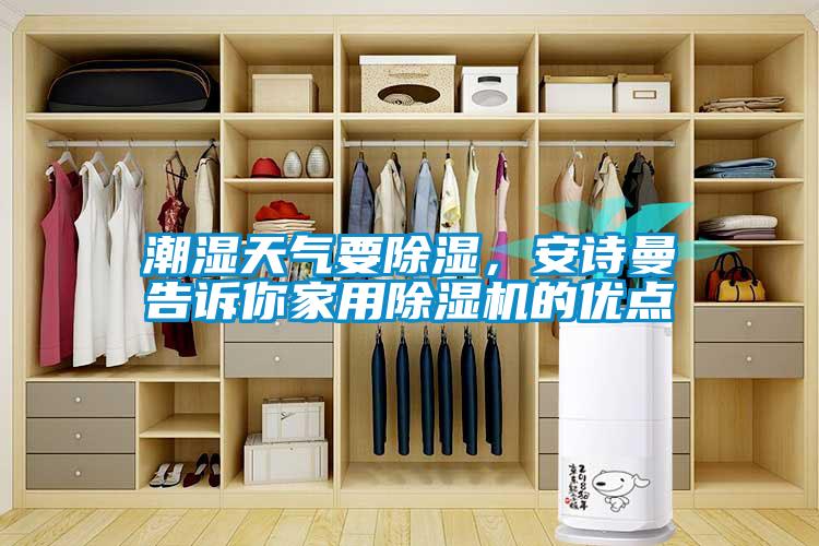 潮濕天氣要除濕，安詩曼告訴你家用除濕機的優點