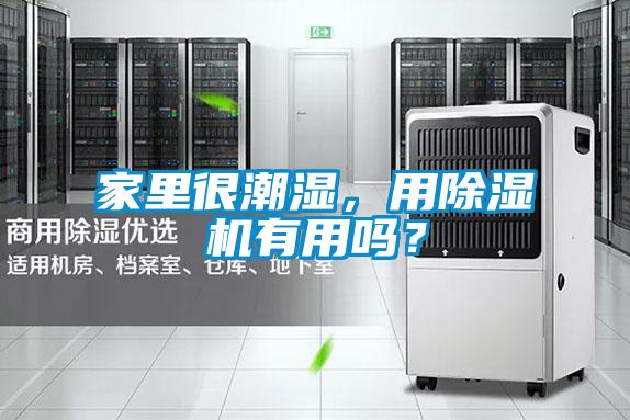 家里很潮濕，用除濕機(jī)有用嗎？