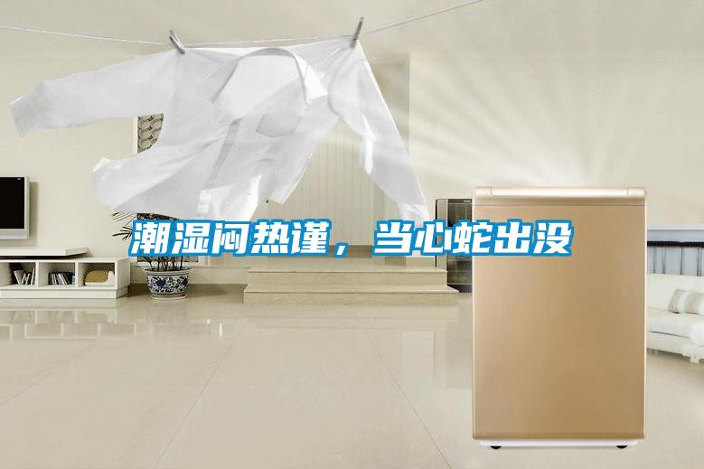 潮濕悶熱謹，當心蛇出沒