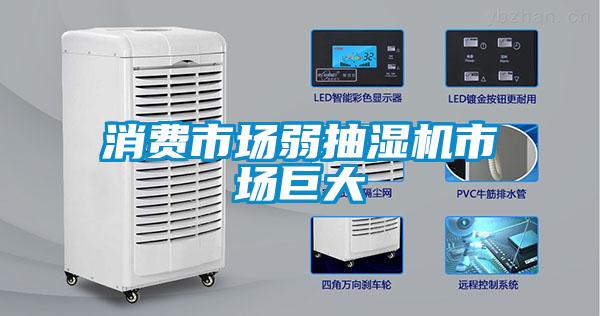 消費市場弱抽濕機(jī)市場巨大