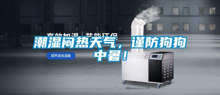 潮濕悶熱天氣，謹防狗狗中暑！