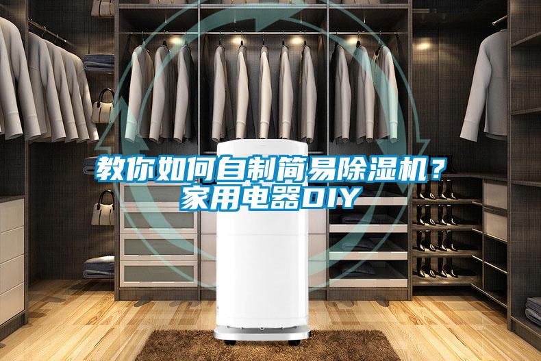 教你如何自制簡易除濕機？家用電器DIY