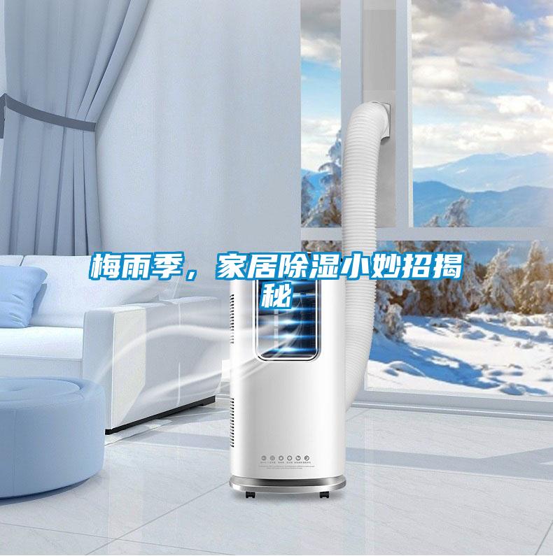 梅雨季，家居除濕小妙招揭秘