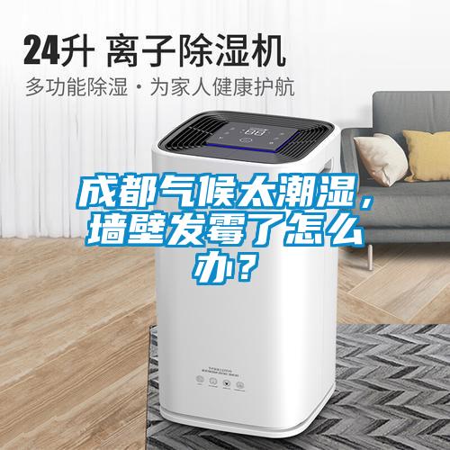 成都?xì)夂蛱睗瘢瑝Ρ诎l(fā)霉了怎么辦？