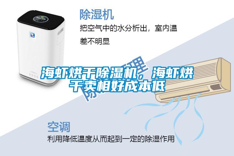 海蝦烘干除濕機，海蝦烘干賣相好成本低