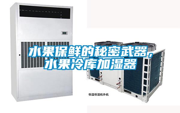 水果保鮮的秘密武器，水果冷庫加濕器